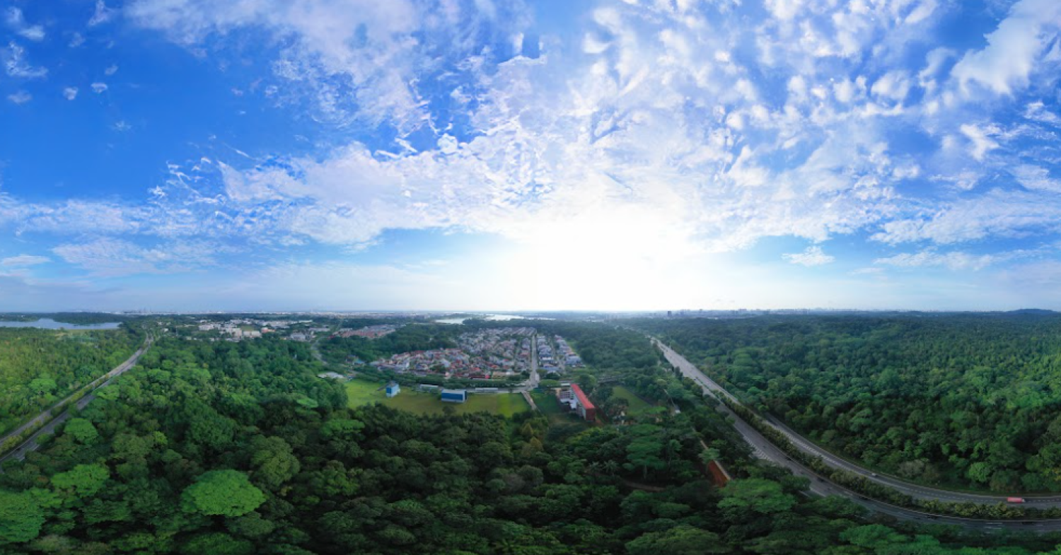 the-green-premium:-nature-raises-housing-prices