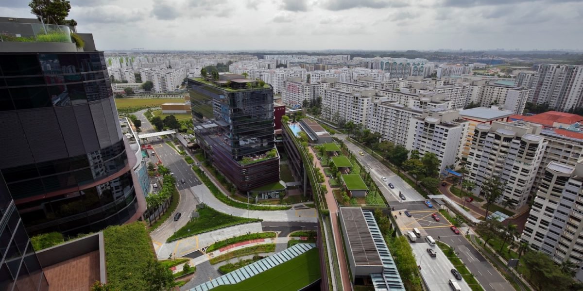 north-star:-the-rise-and-rise-of-woodlands