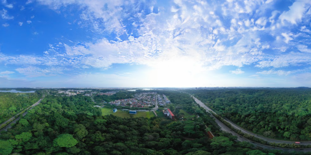 the-green-premium:-nature-raises-housing-prices